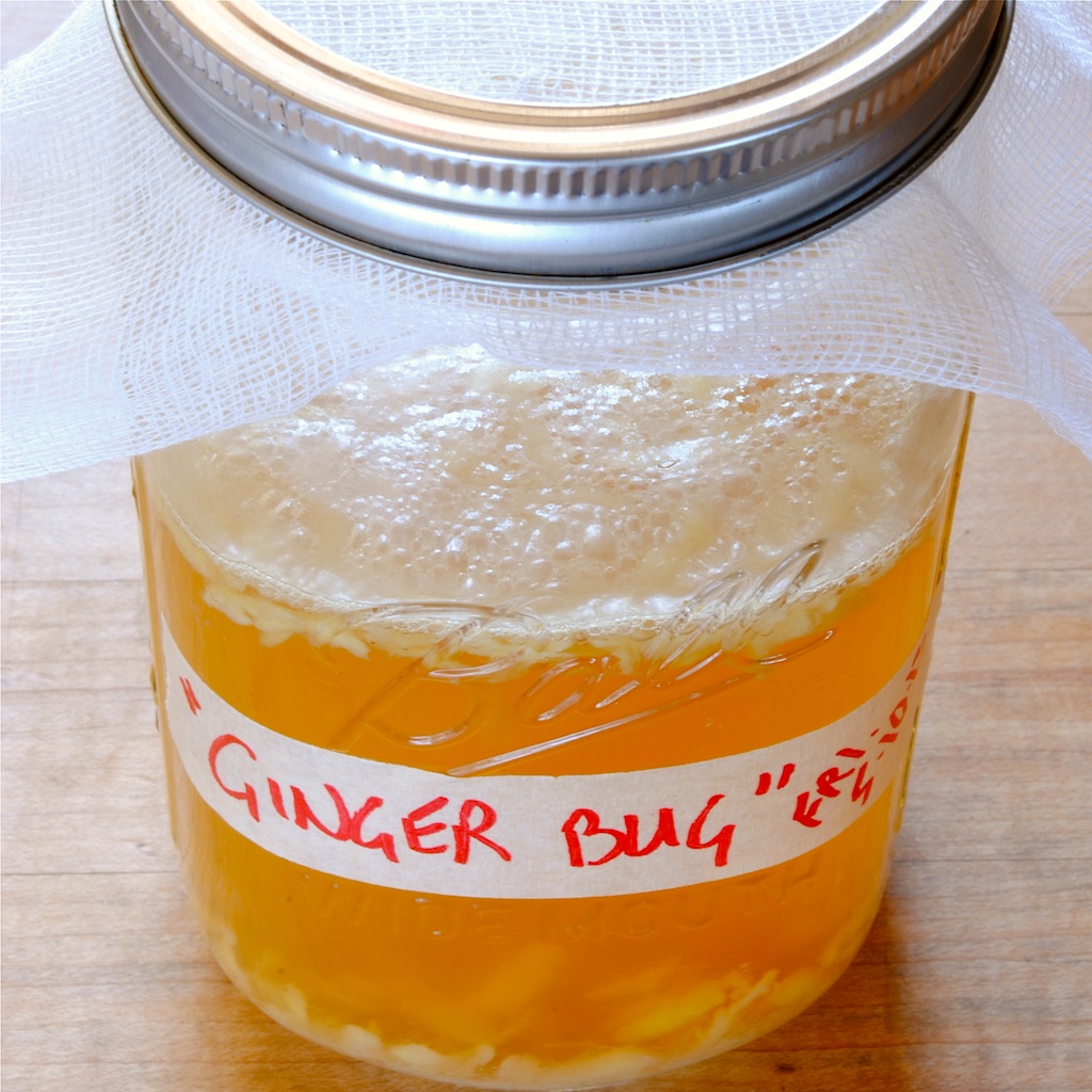 JULES FOOD... Homemade Ginger Ale or Beer...or HOOCH