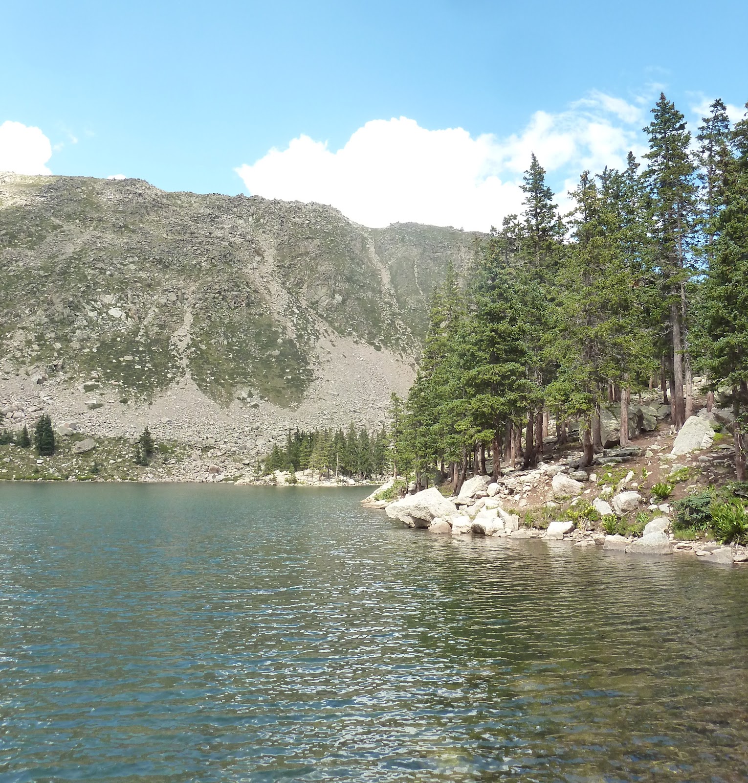 the common milkweed 2012 Vacation Lake Katherine