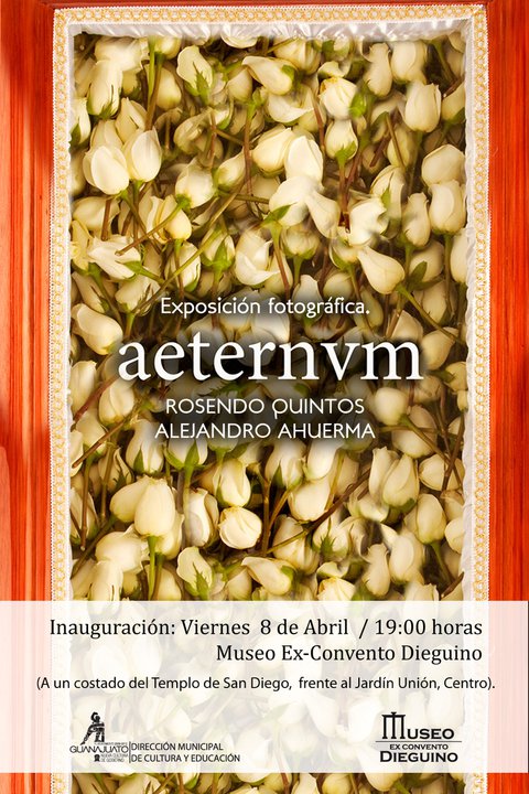 Aeternum Aeternum