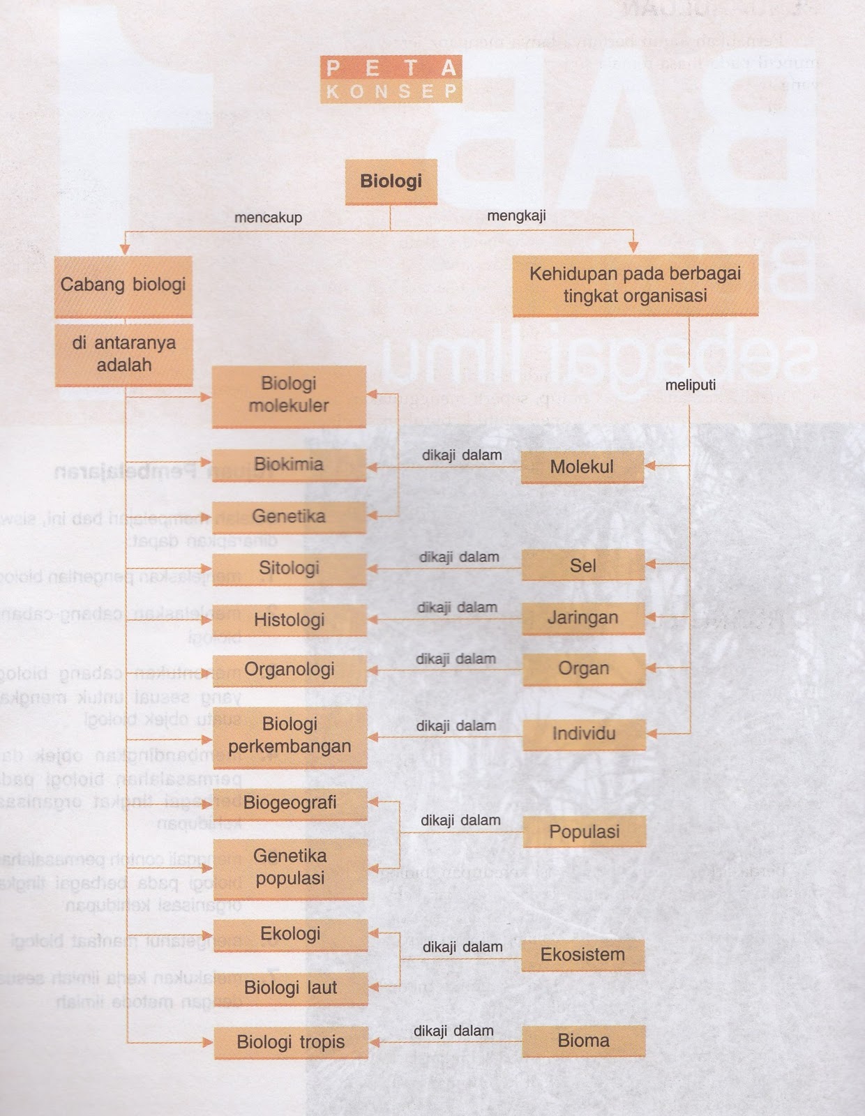 Damai Muslim Cabang Cabang Ilmu Biologi Sma Kelas X