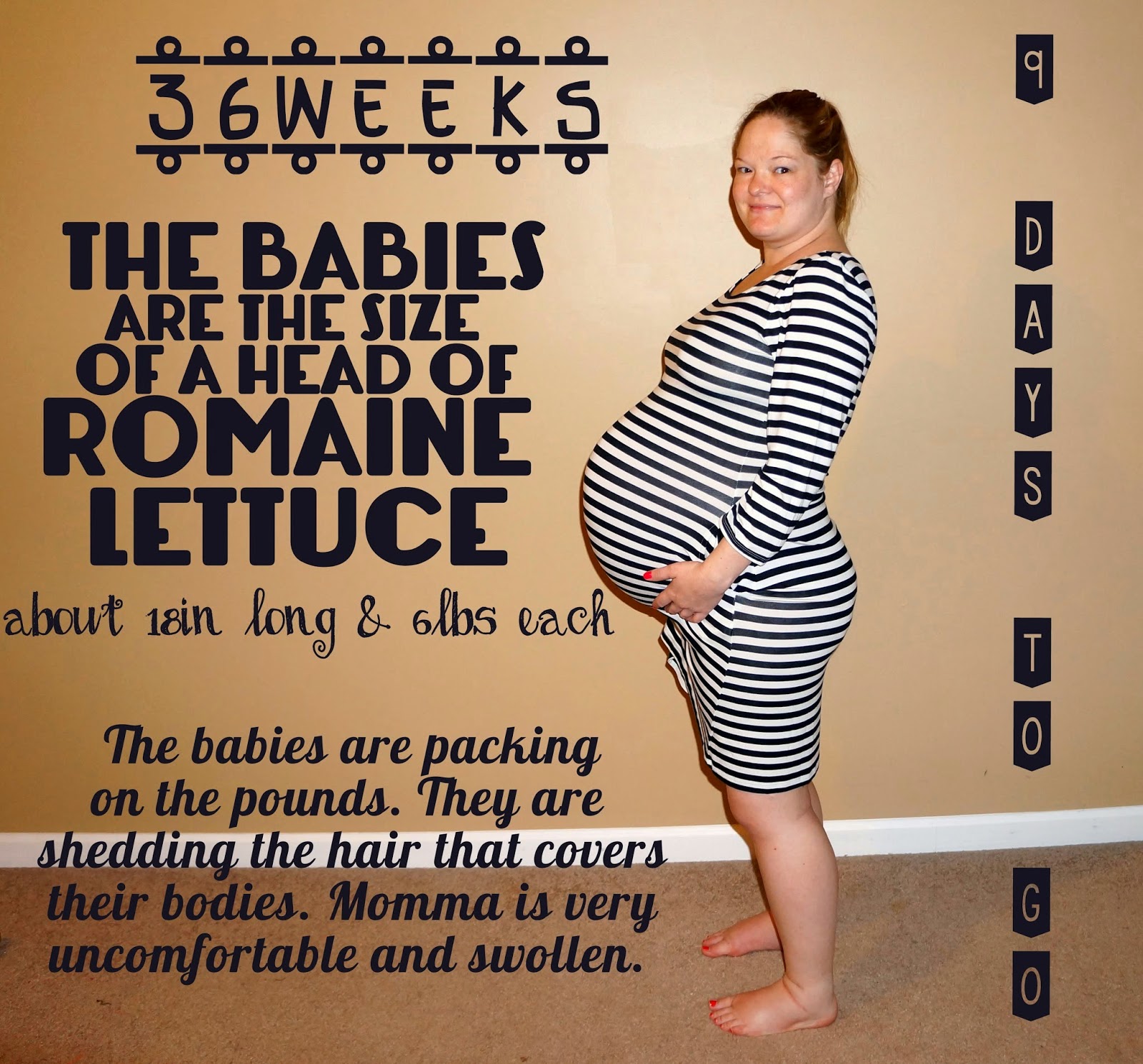 Twin Talk Blog: Bump Day | 36 Week Gallery