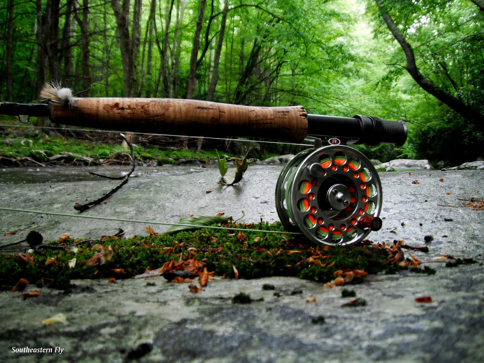 Southeastern Fly Great Smoky Mountains National Park Fishing Report