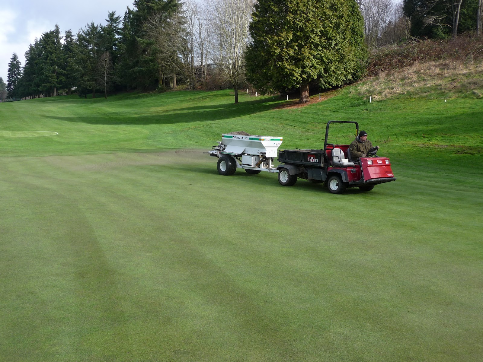 Glendale Country Club Verticutting and topdressing greens