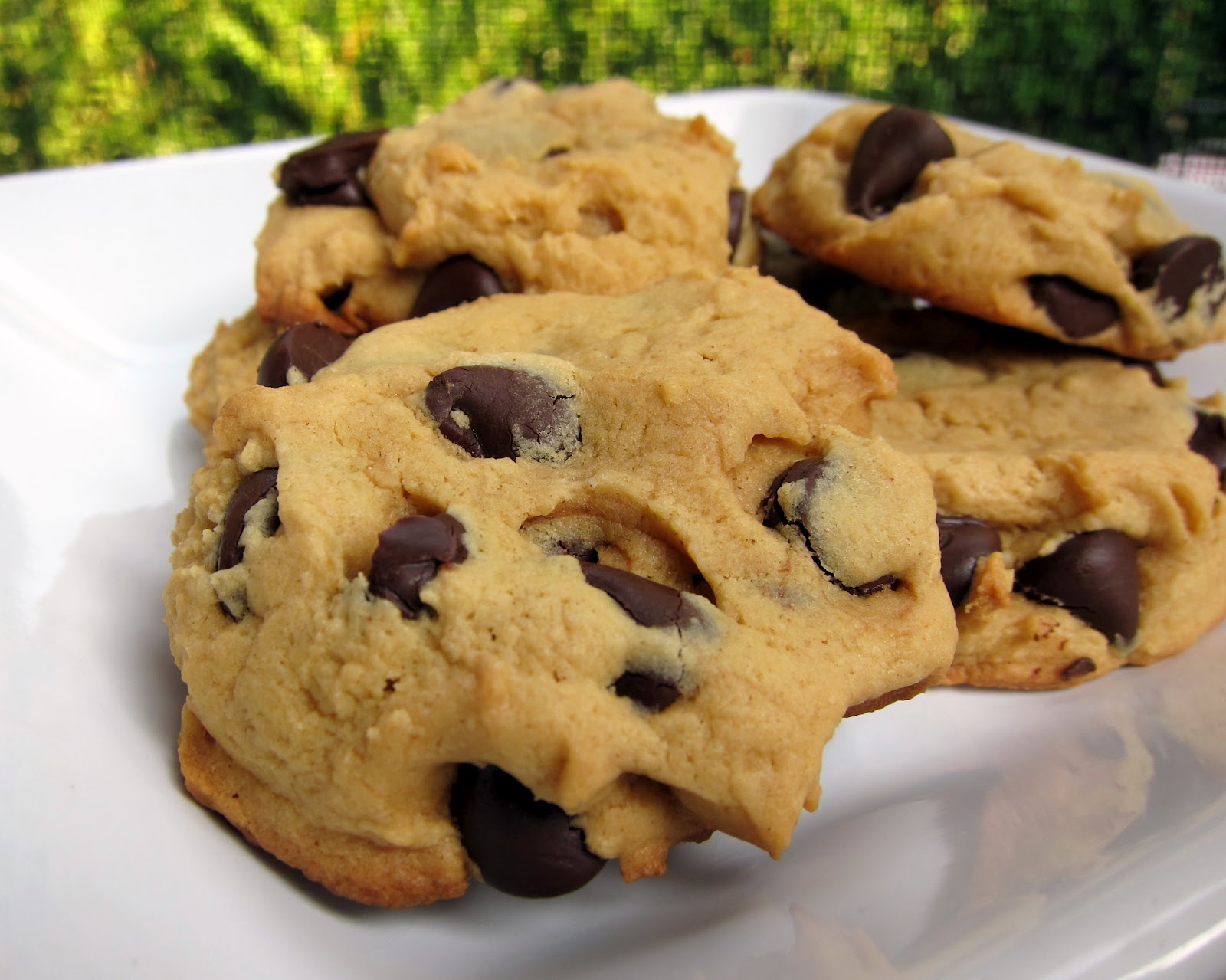 Peanut Butter Chocolate Chip Cake Mix Cookies Plain Chicken