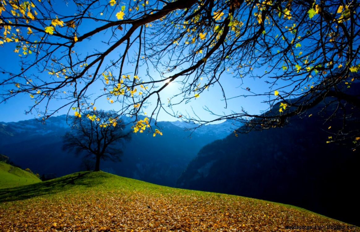 HD Background Wallpaper Free Download Amazing Nature Wallpapers HD Background Wallpaper Free Download Amazing Nature Wallpapers