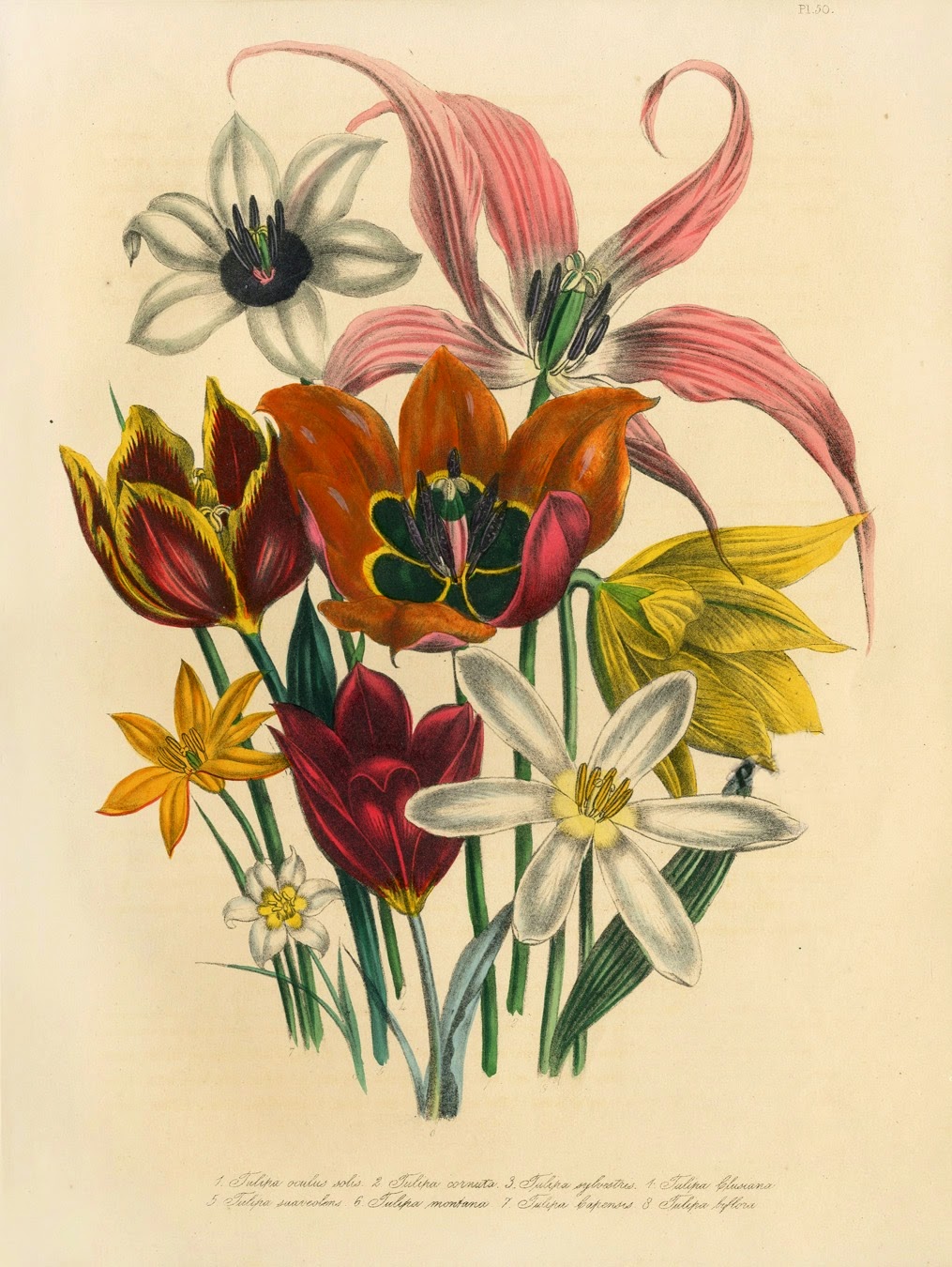 Infotainment @ www.keralites.net Fun & Info @ Keralites.net