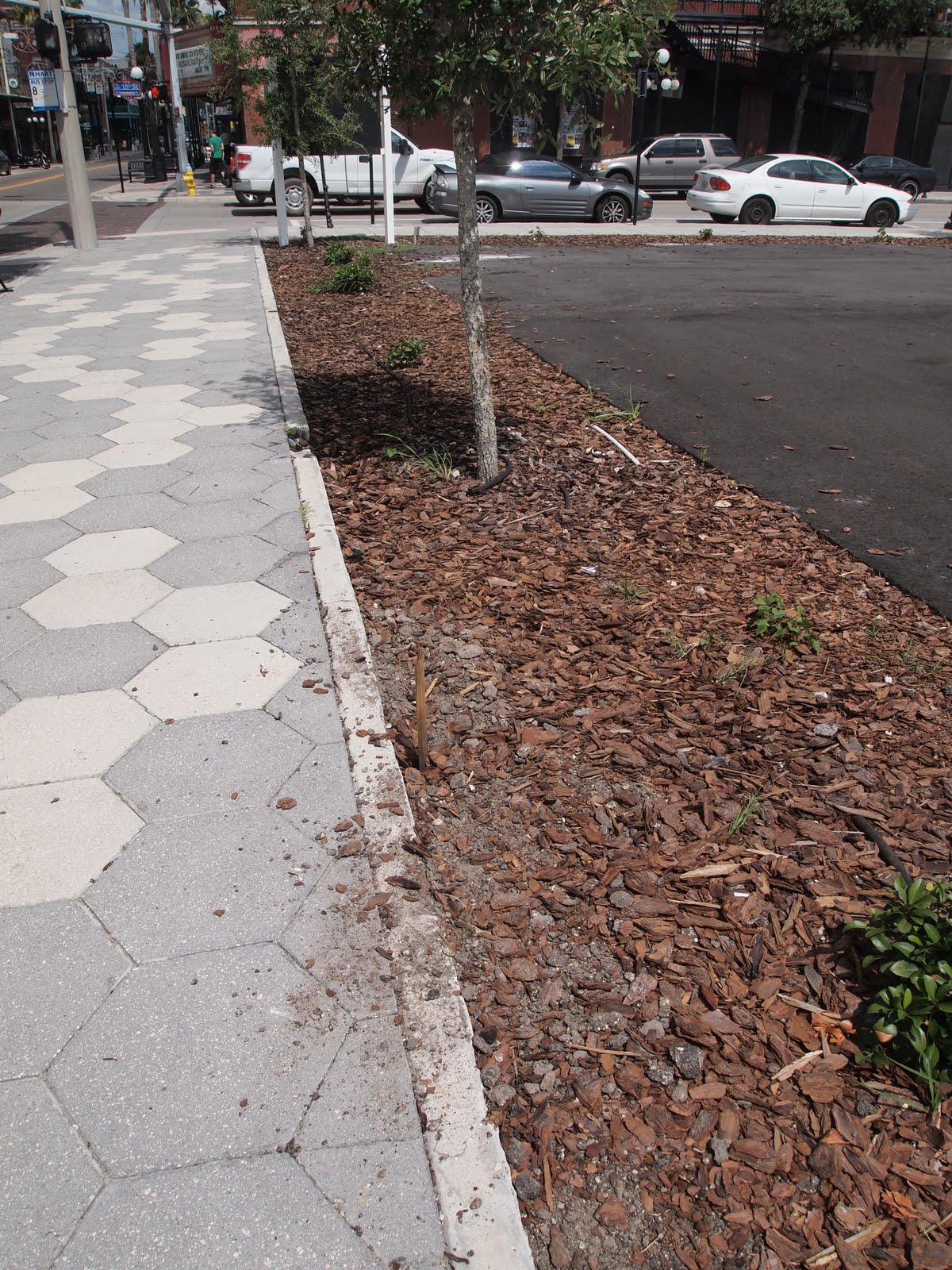 TAMPANIA Ybor tunnels myth comes to light again!