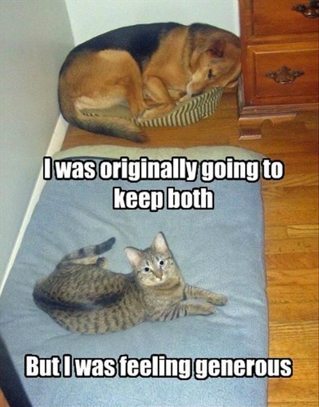 30 Funny animal captions part 5 (30 pics) Amazing Creatures