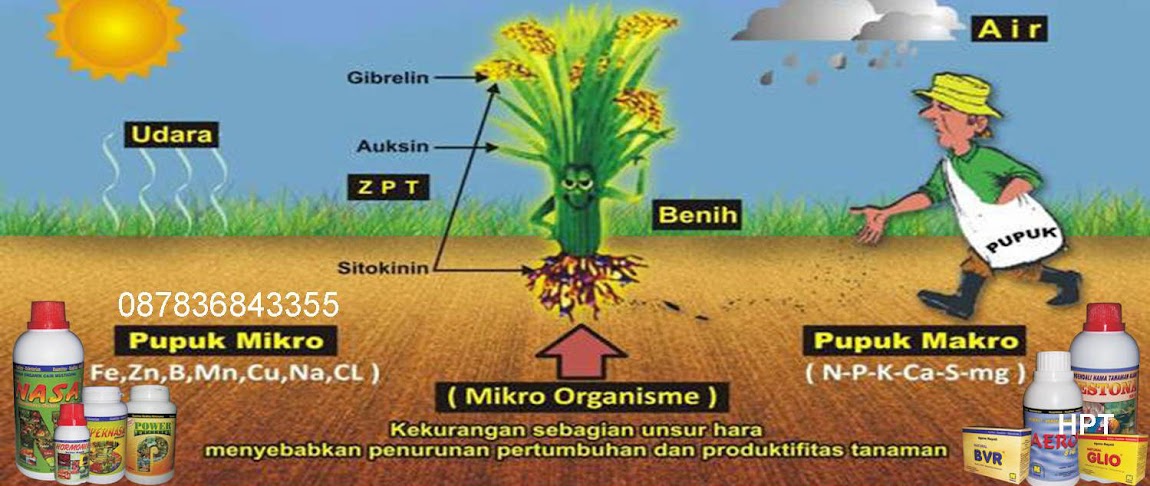 meningkatkan keuntungan petani