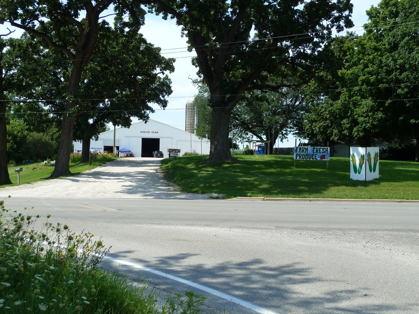Baking and Cooking, A Tale of Two Loves The Norton Farm Locally Grown