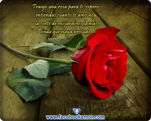 ENVIAR IMAGENES GRATIS enviar imagenes gratis: