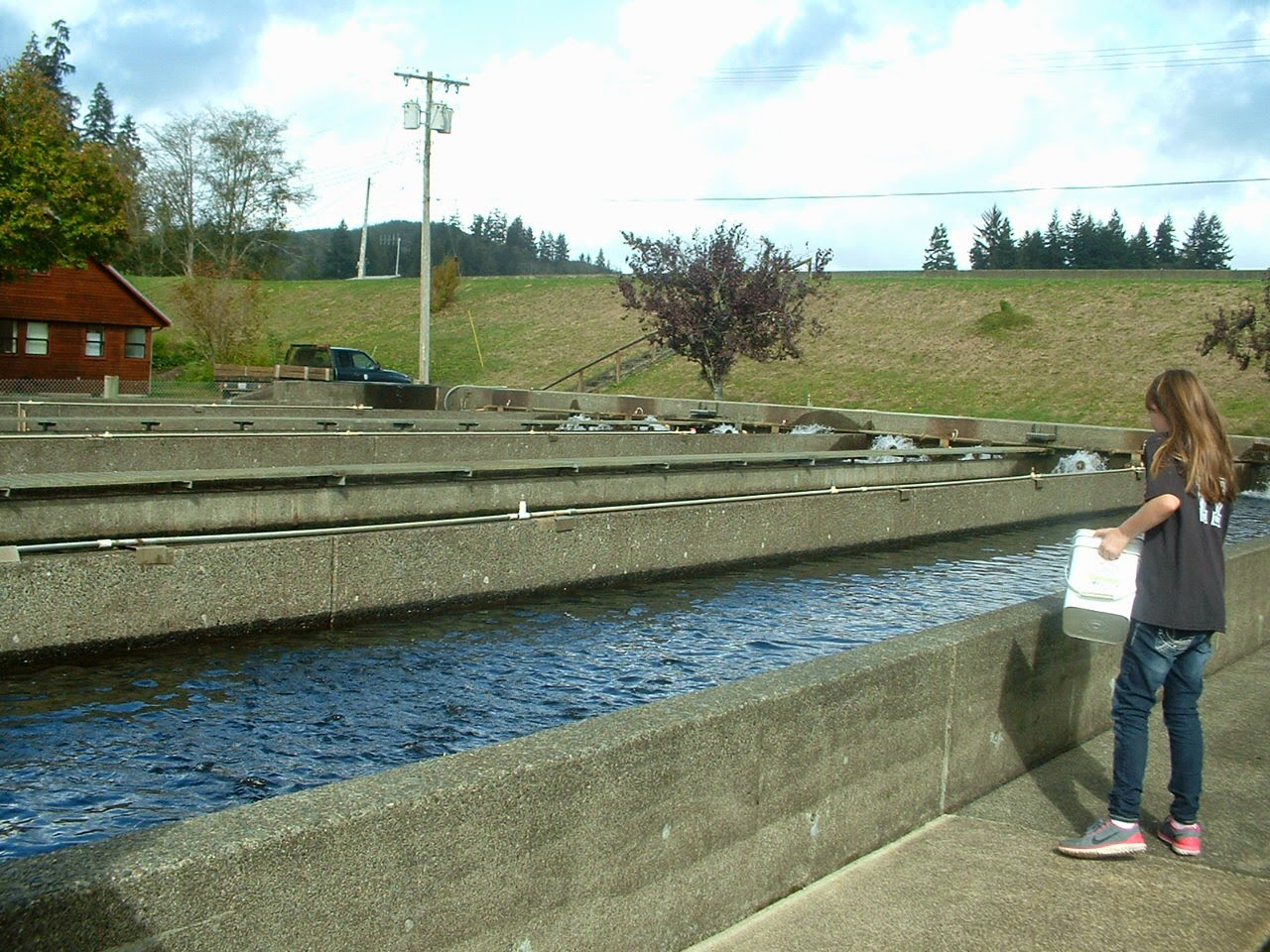 Best Handcrafted & Outdoor Newsletter Lake Aberdeen Fish Hatchery