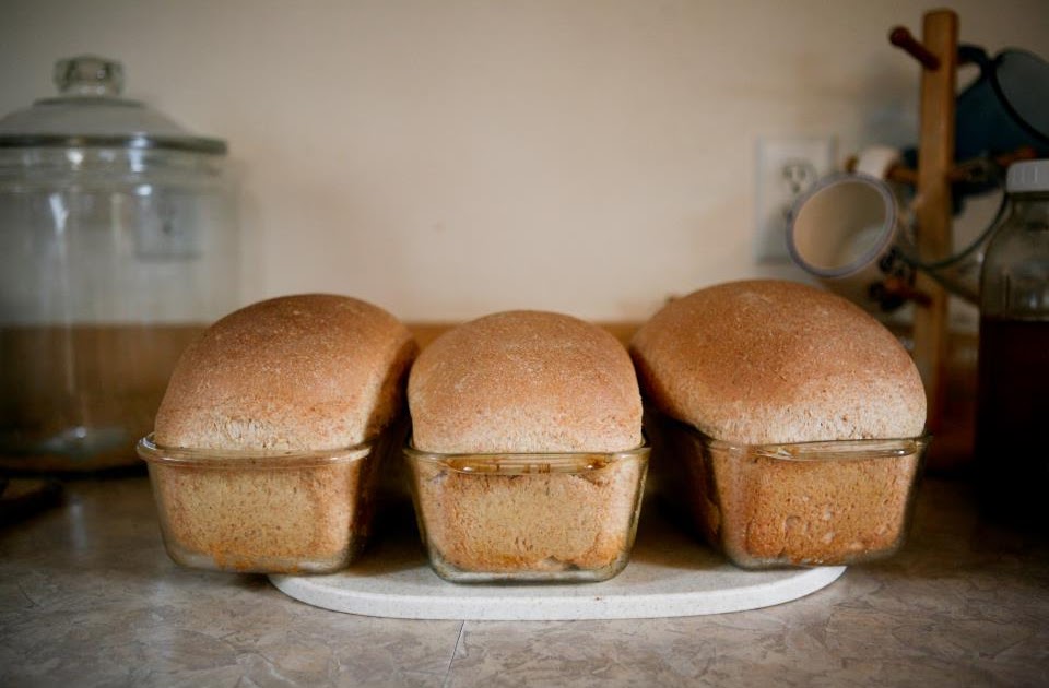 Sourdough Girls Create Freshly Ground Flour Bread Recipe