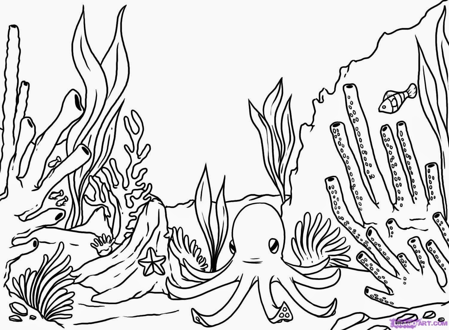 Step-by-Step Drawing of a Coral Reef