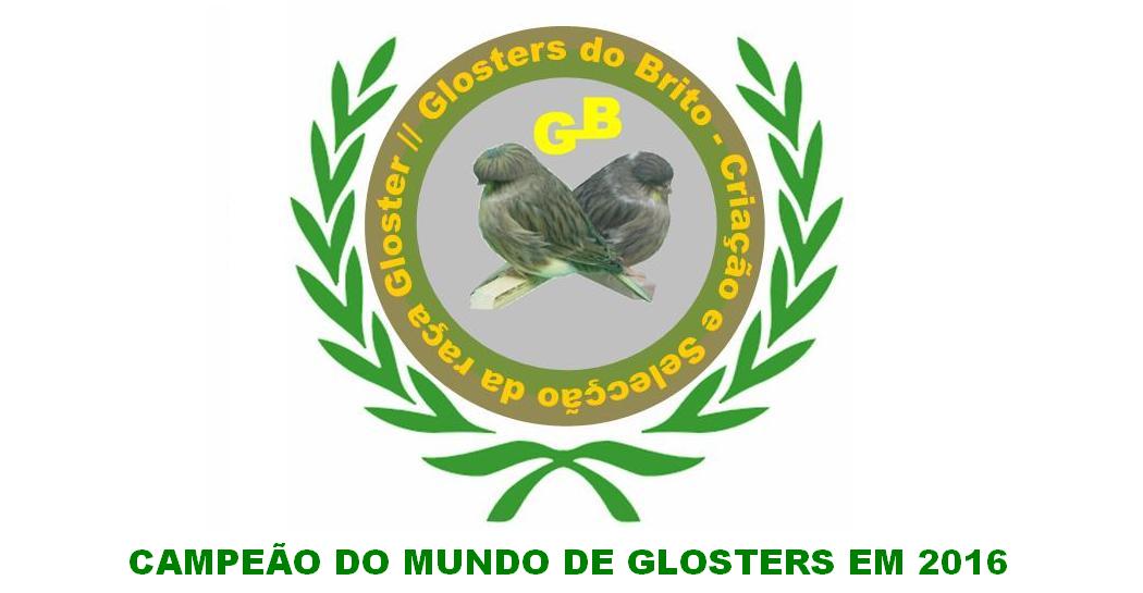 GLOSTERS DO BRITO
