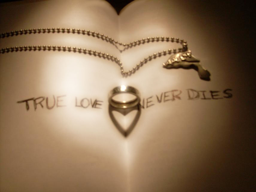 download true love never download true love never