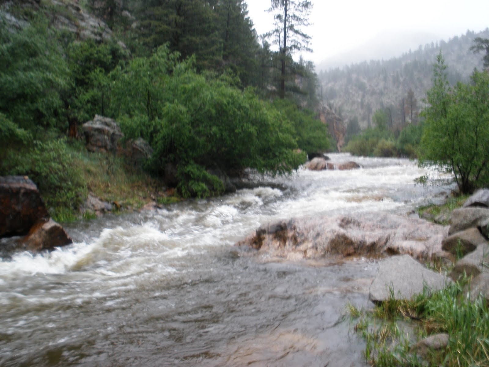 Colorado Fly Fishing Reports Big Thompson River Directory