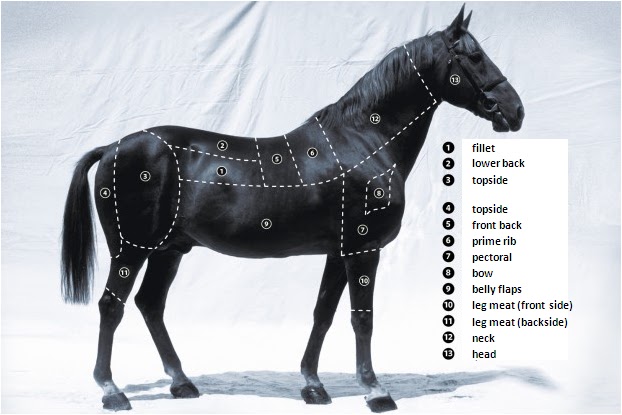Looking Beyond the Hysteria: Why ... Biology Diagrams