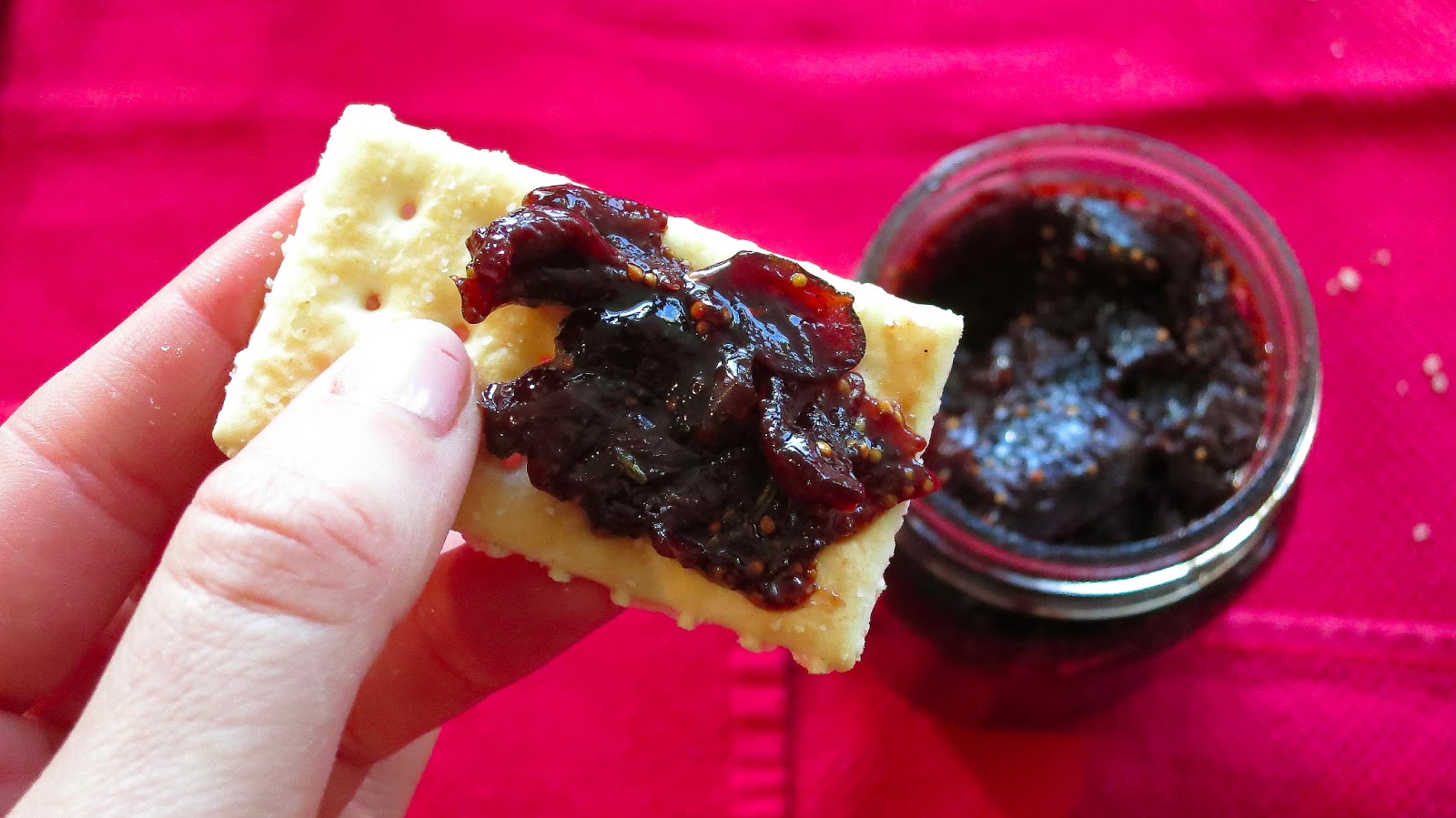 Red Wine Rosemary Fig Compote with Cranberries and Cherries Abbey's