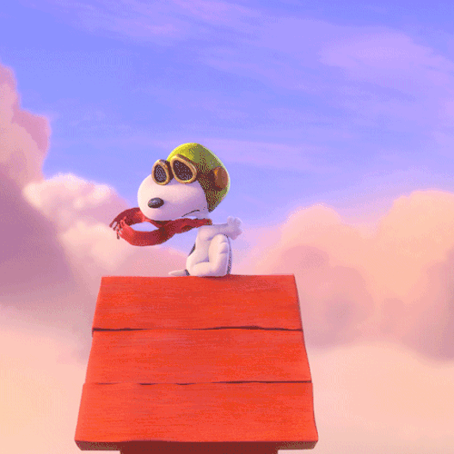 The Allen Report Snoopy's Foe The Red Baron Few Germans Recall