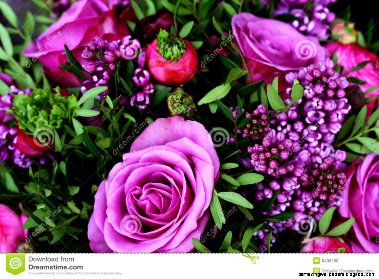 Romantic Bouquet With Purple Roses Stock Photo Image 8438190 Romantic Bouquet With Purple Roses Stock Photo Image 8438190