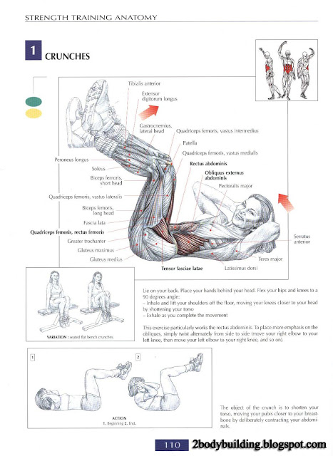 أهم تمارين لشد وتقوية عضلات البطن  Abdominal+110