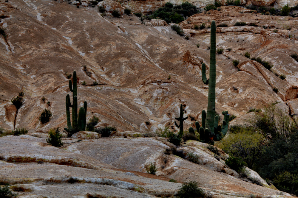 John and Aileen on the road January 2012