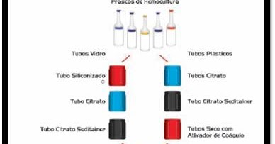 download physicochemical theory