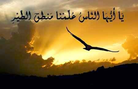 من يشتري دموع عينيك