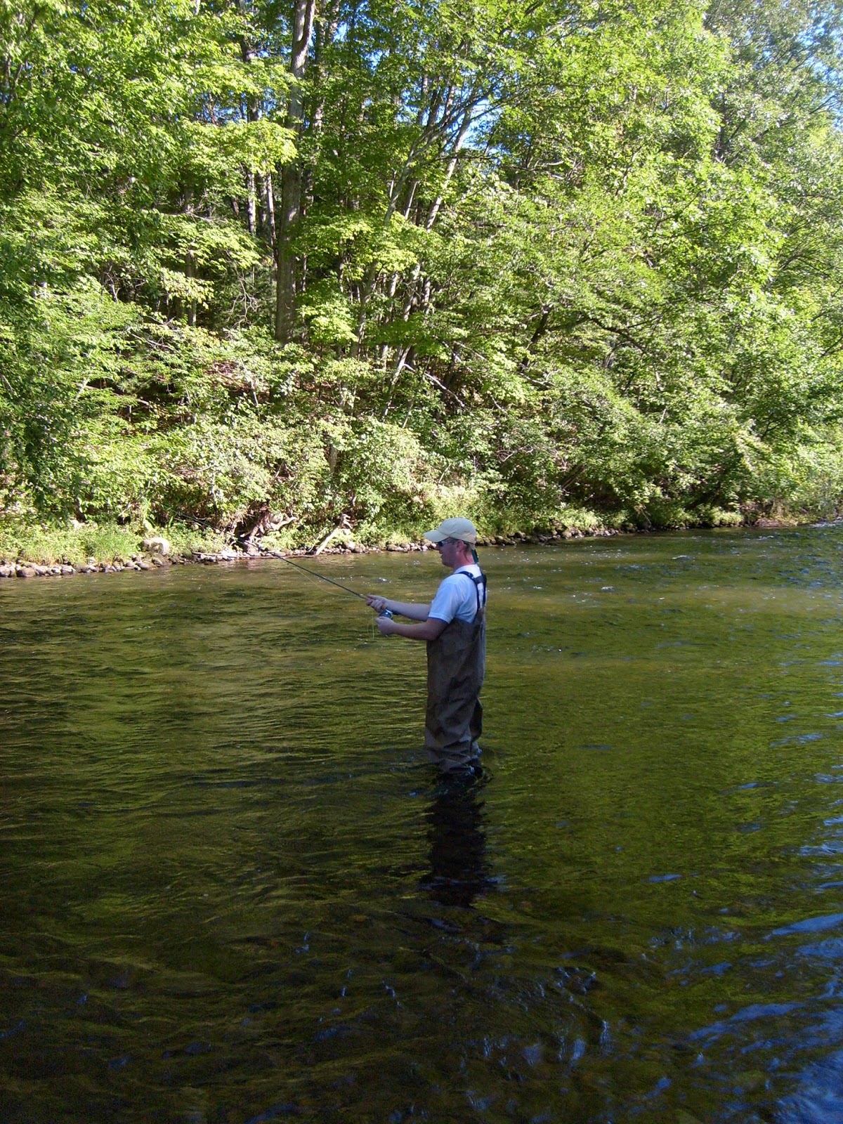 Vermont Fly Fishing The Battenkill is PRIME!