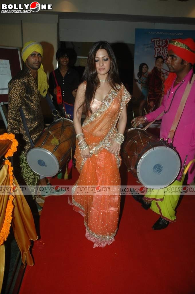 Fashion Show Pics: Riya Sen In Orange Saree - Hot Pics - FamousCelebrityPicture.com - Famous Celebrity Picture 