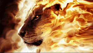 LION OF JUDAH--HE'S COMING SOON!