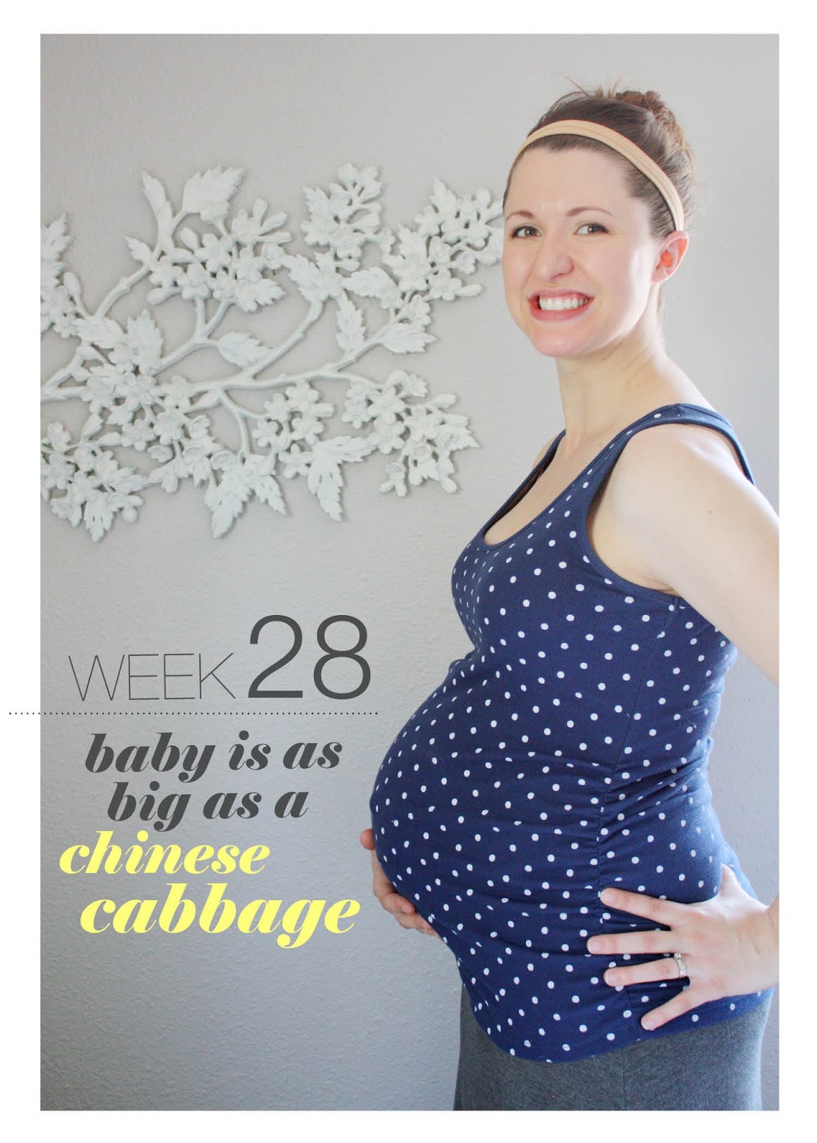 it's papa!: Baby Wisely: 28 Weeks