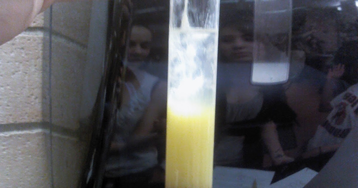 Biology DNA Extraction Lab