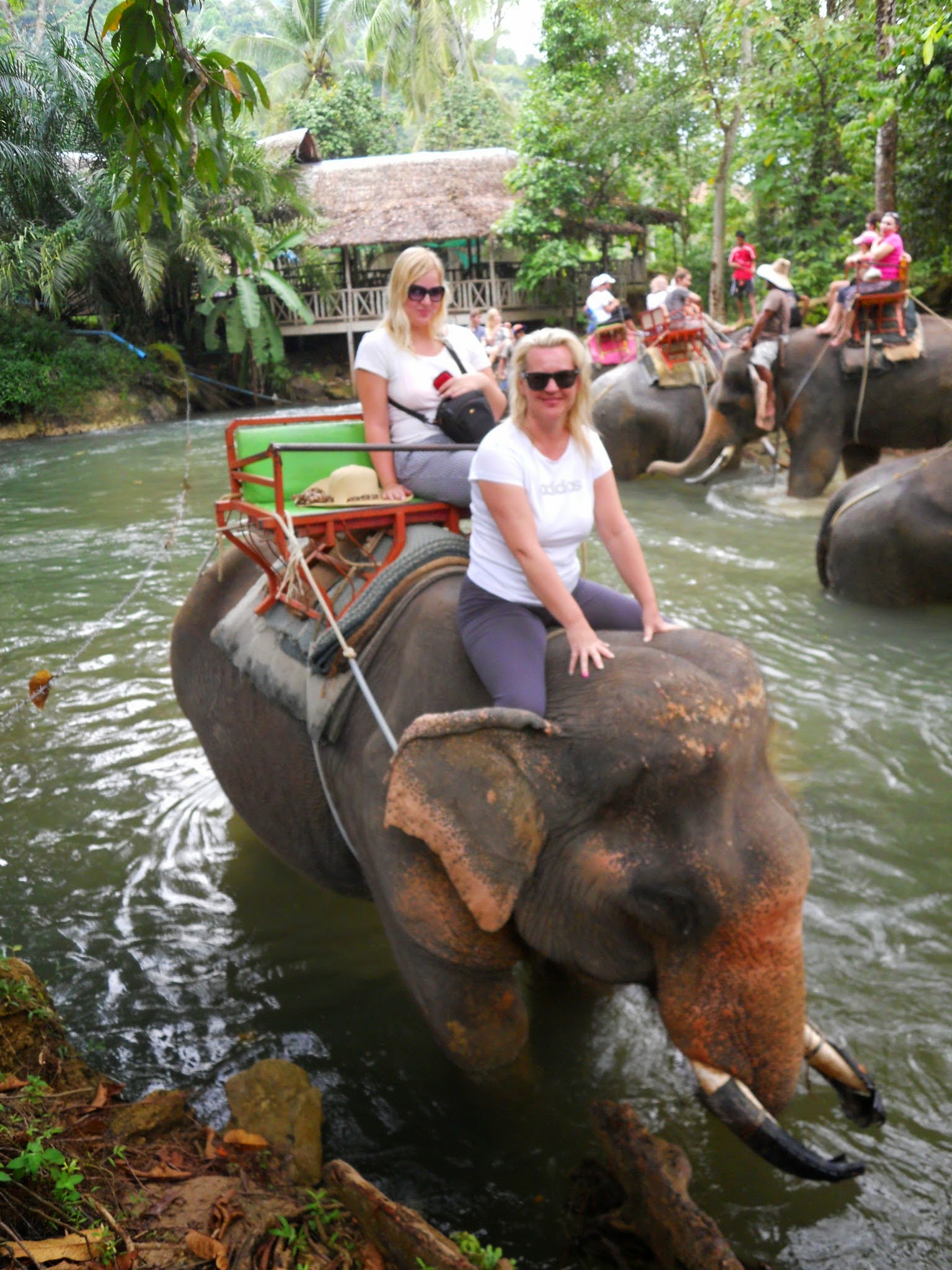 Tajlandia - słonie, świątynia, dżungla