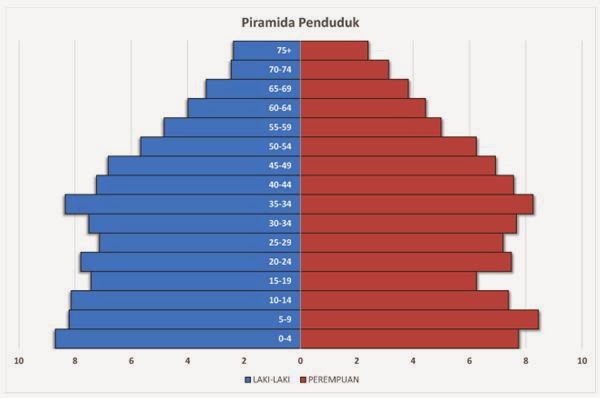 Tik Cara Membuat Piramida Penduduk Pada Excel