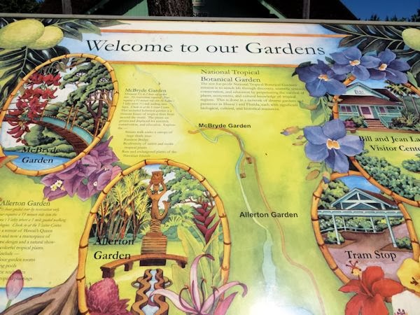 A Guide To Northeastern Gardening Allerton Mcbryde Botanical