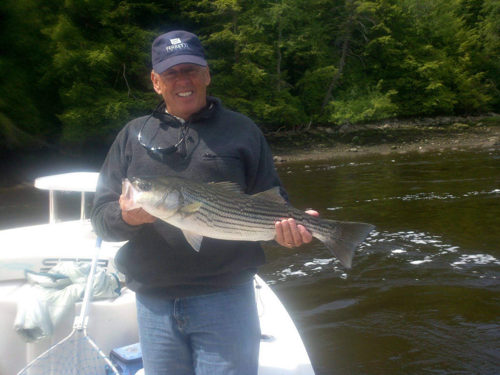 Maine Striper Fishing Charters & Reports Hotline 2076910745 Kennebec