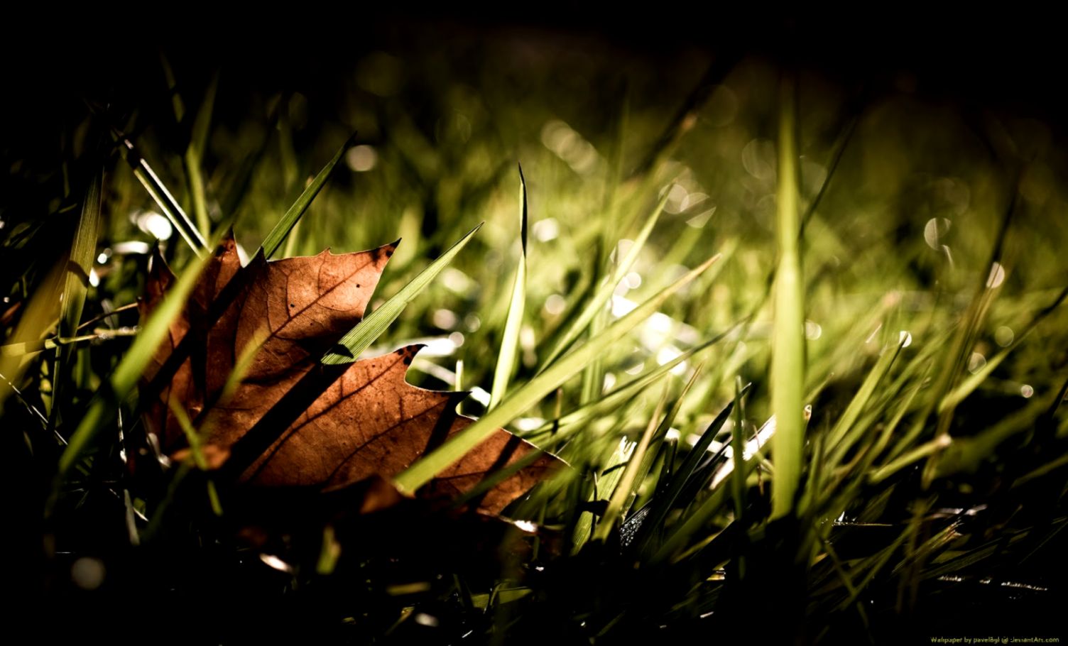 High Definition Wallpapers   HD wallpapers