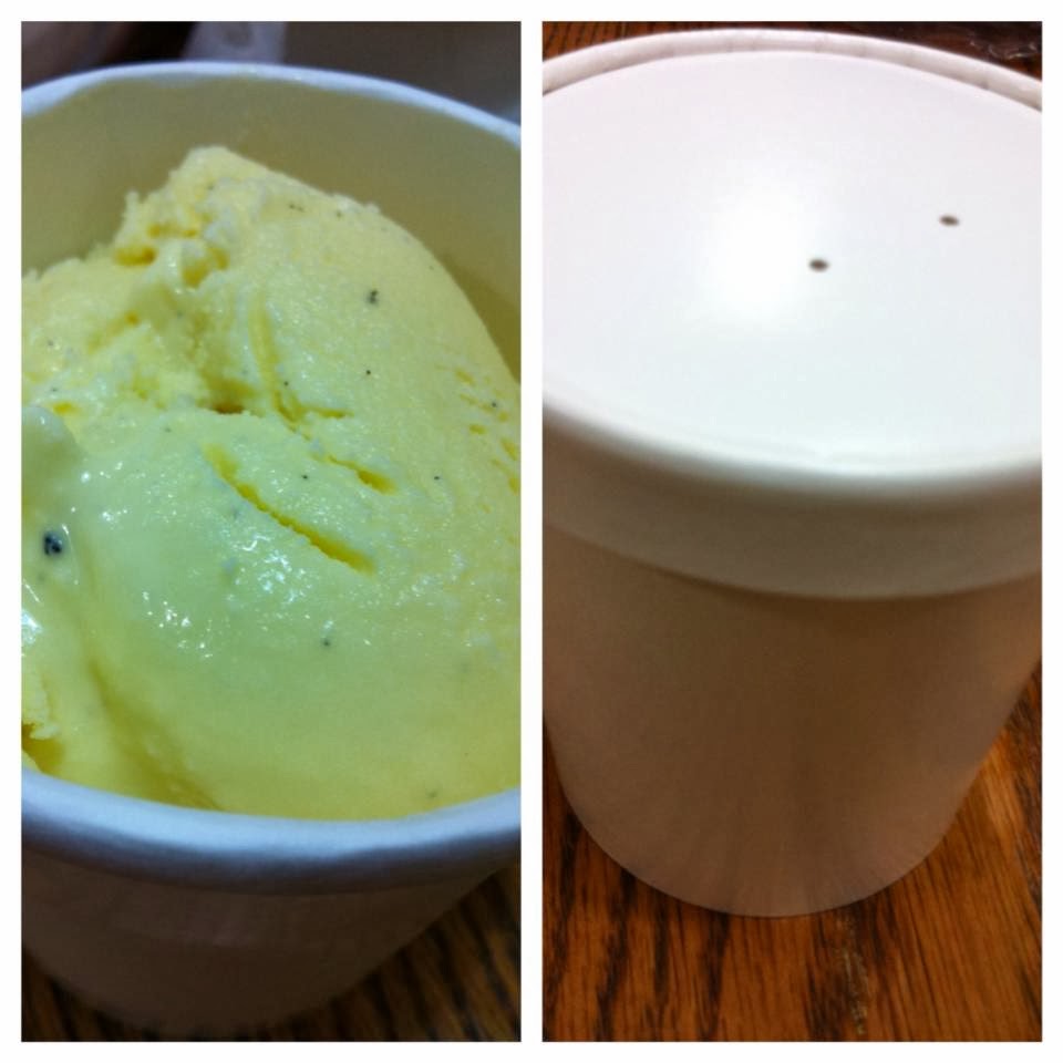 Life and Other Shenanigans Vanilla Bean Custard Ice Cream