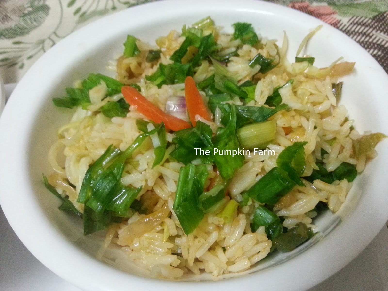 Celebrating Food Vegetable Hakka Fried Rice / Noodles