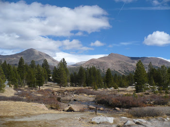 The two highest peak in Yosemite