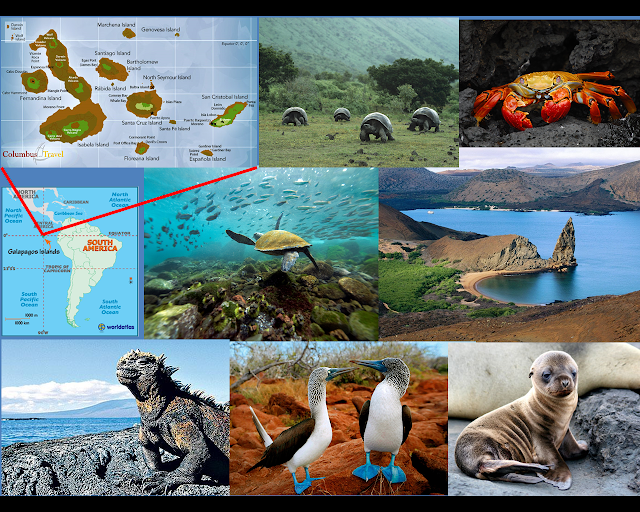 Galapagos islands case study answers picture