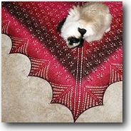  / Tracy's Shawl