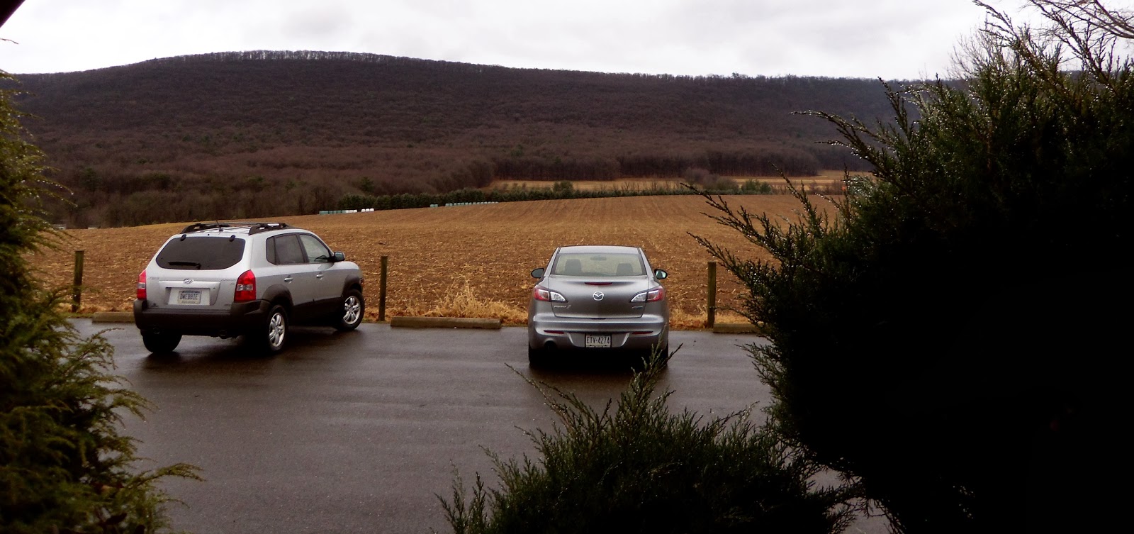 A DEBBIE-DABBLE CHRISTMAS: Christmas in the Stores: Country Folk Store