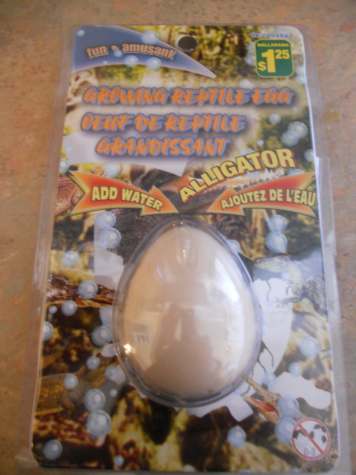 Razle Dazle Events Growing Reptile Egg