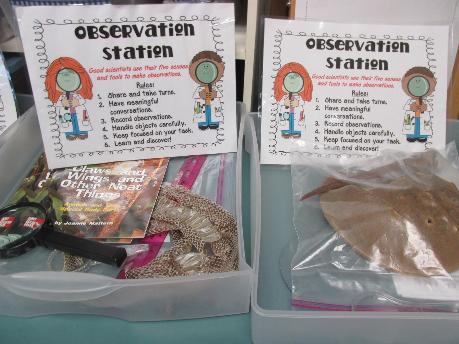 Third Grade Thinkers Creating a Science Station