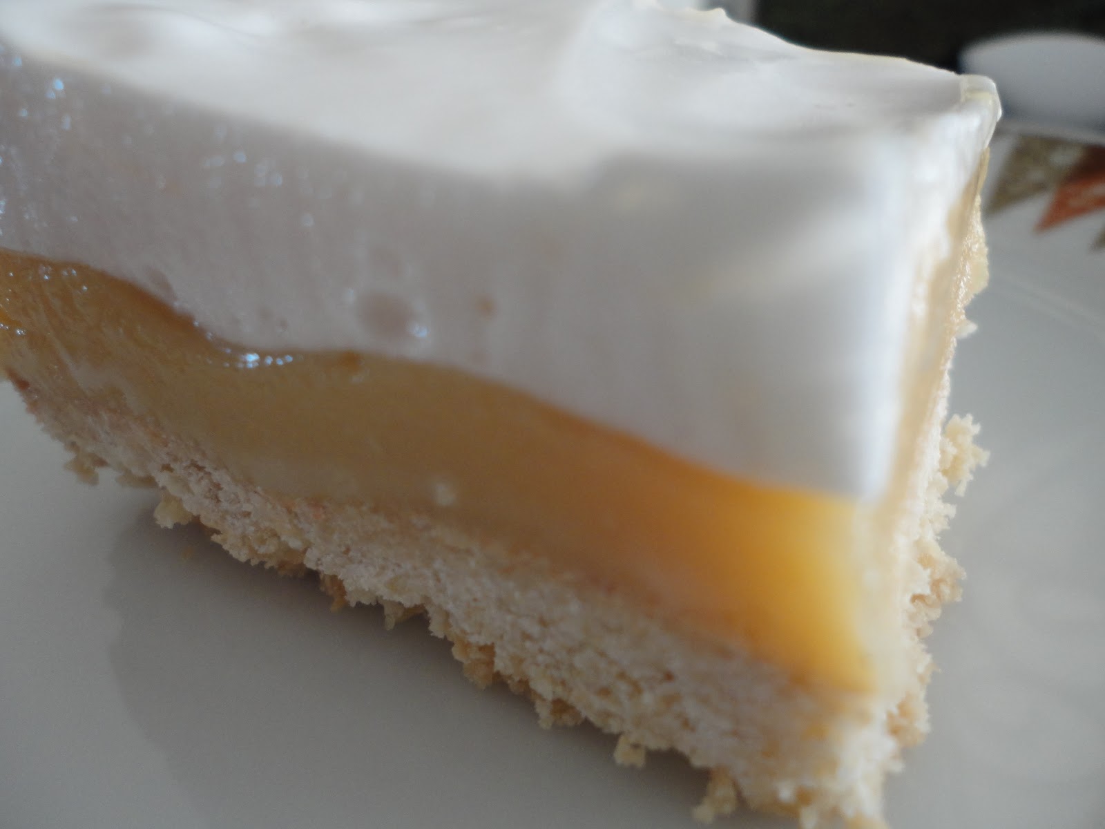 Little Snow Flower Gluten Free Marshmallow Caramel Slice