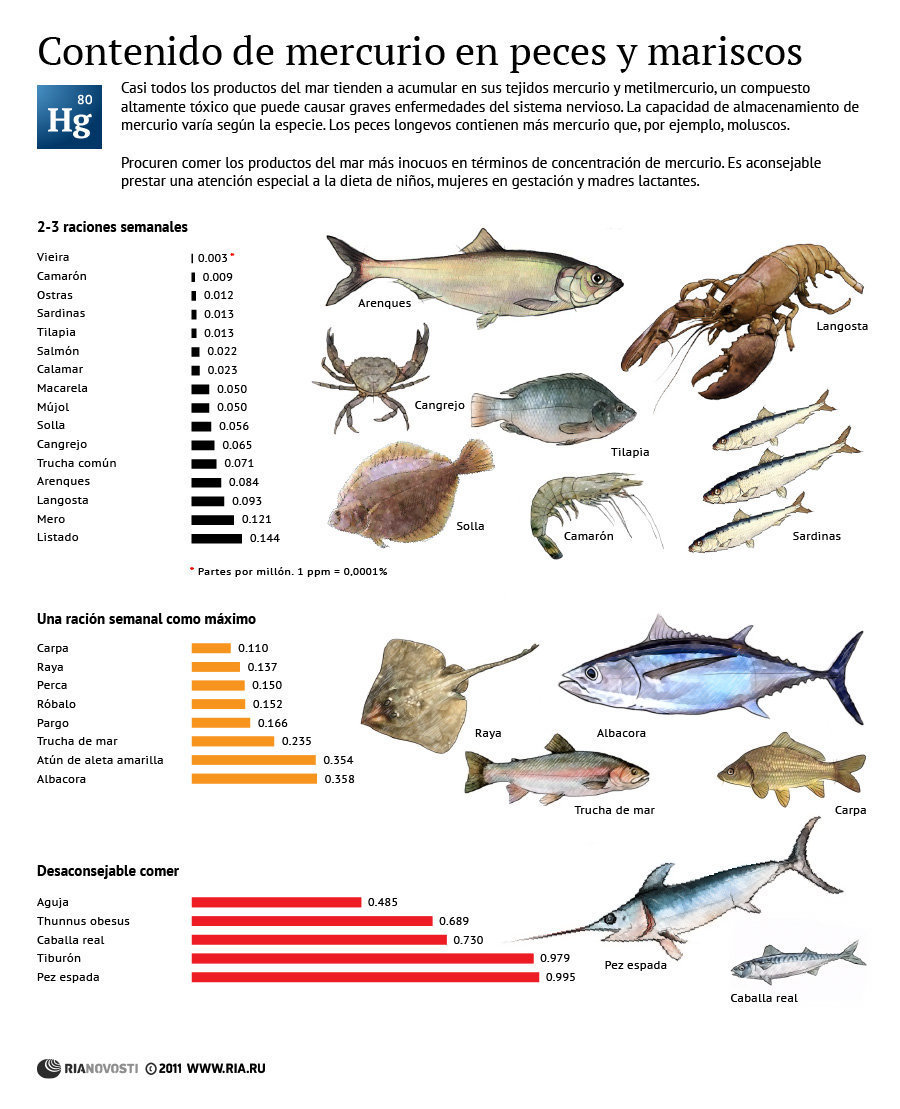 alimentos con mercurio dietas e intolerancias alimentarias mercurio en la comida alimentos con mercurio dietas e intolerancias alimentarias mercurio en la comida