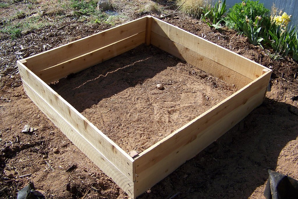 Square Foot Garden